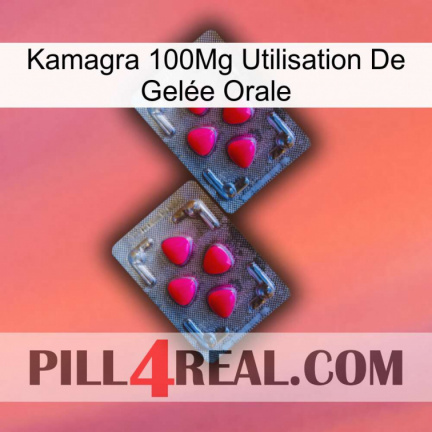 Kamagra 100Mg Utilisation De Gelée Orale 14